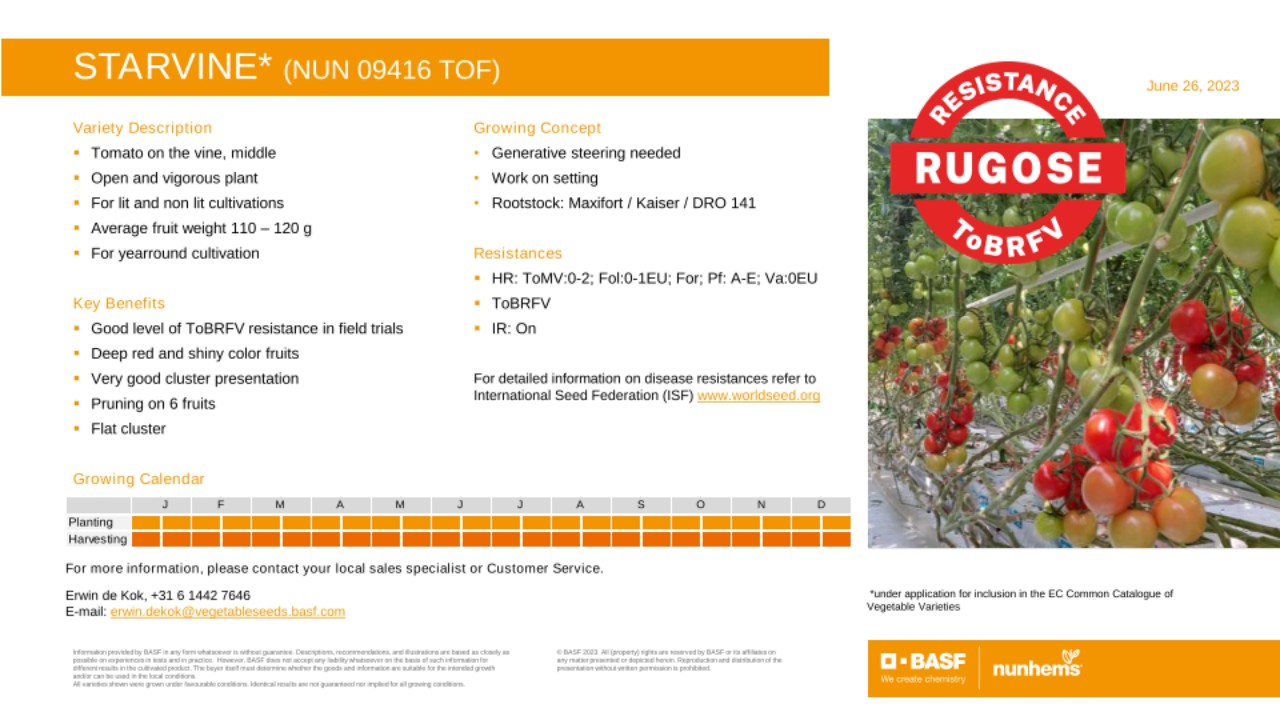 BASF Nunhems | Variety proFILE